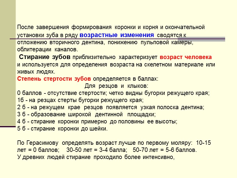 После завершения формирования коронки и корня и окончательной установки зуба в ряду возрастные изменения